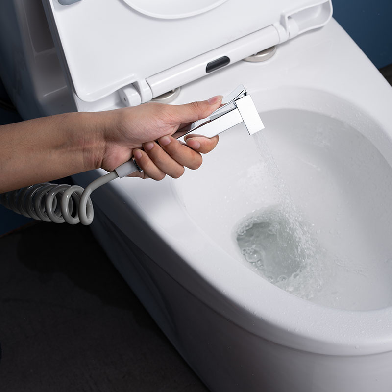 Hand-Bidet-Sprühgerät für Toiletten Hygienisches Einhand-Bidet-Set-Kit