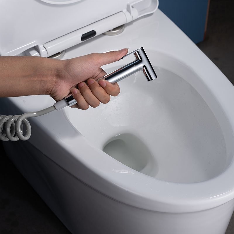Großhandels-Edelstahl-Handbidet-Sprühset für Toilette in Chrom